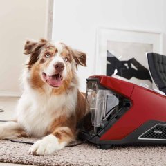 Miele Blizzard CX1 Cat&Dog PowerLine SKCF3 Torbasız Süpürge