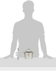 Zwilling 666531400 Çelik Derin Tencere 14 cm PICO