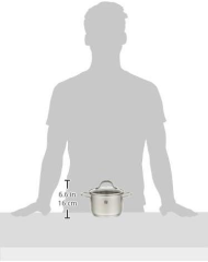 Zwilling 666531400 PICO Çelik Derin Tencere 14 cm