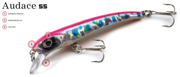 Molix Audace 55 Sinking - 5.5cm. #200 MX Wahoo