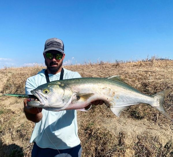 Jack Fin Stylo 225 Sahte Yem Saury ''Özel Renk''