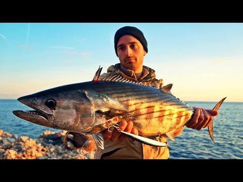 Duo Press Bait Saira ADA0150 / Dorado HD