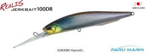 Duo Realis Jerkbait 100DR GSN3085 / Hypnotic