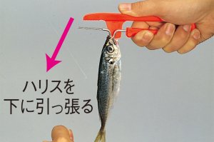Daiichiseiko Jidou Hari Hazushi İğne Çıkartma ve Balık Tutucu Aparatı