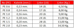 Linesystem Seabass Day Game X8 PE 1.5  0,20mm.  28Lb.  13.0kg. 150mt.