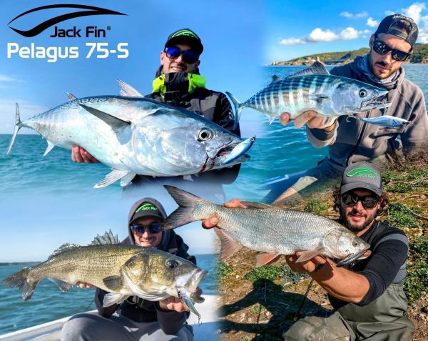 Jack Fin Pelagus 75-S Sahte Yem Sardine