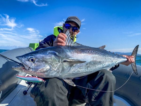 Jack Fin Pelagus 165-S Sahte Yem Saury ''Özel Renk''