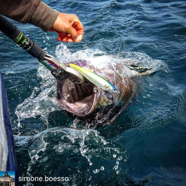 Jack Fin Pelagus 165-F Sahte Yem Saury ''Özel Renk''