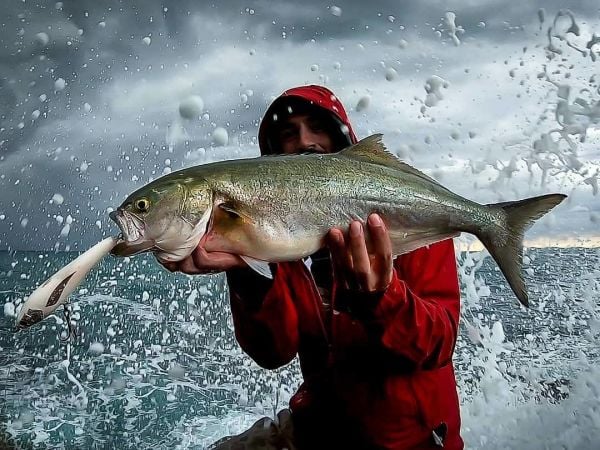 Jack Fin Argo 180-F Sahte Yem Saury ''Özel Renk''