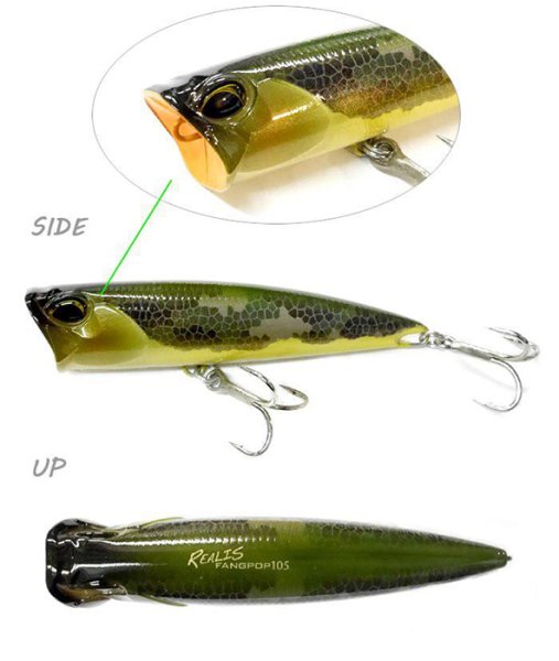 Duo Realis Fangpop 120 SW / ACC0170 Pearl Chart II