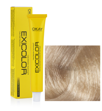 EXİCOLOR SAÇ BOYASI 12.01 YOĞUN KÜLLÜ SÜPER AÇICI