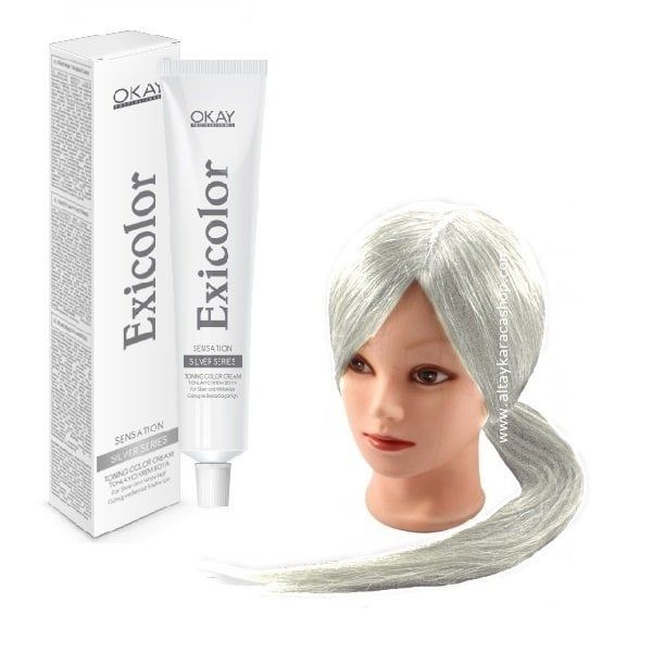 EXİCOLOR SAÇ BOYASI SILVER DREAM / GÜMÜŞ RÜYA