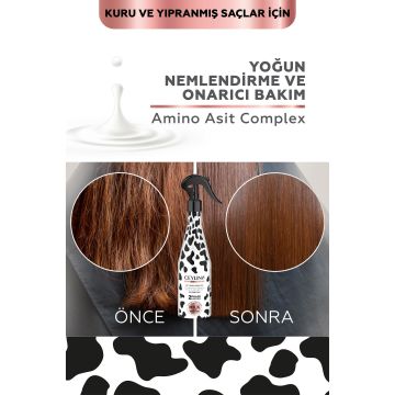 CEYLINN Çift Fazlı Fön Sütü 400ml