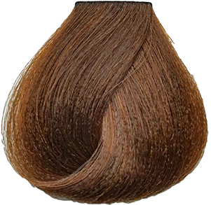 MORFOSE 10 SAÇ BOYASI 100ml / 7.73 Kapiçino Kahve