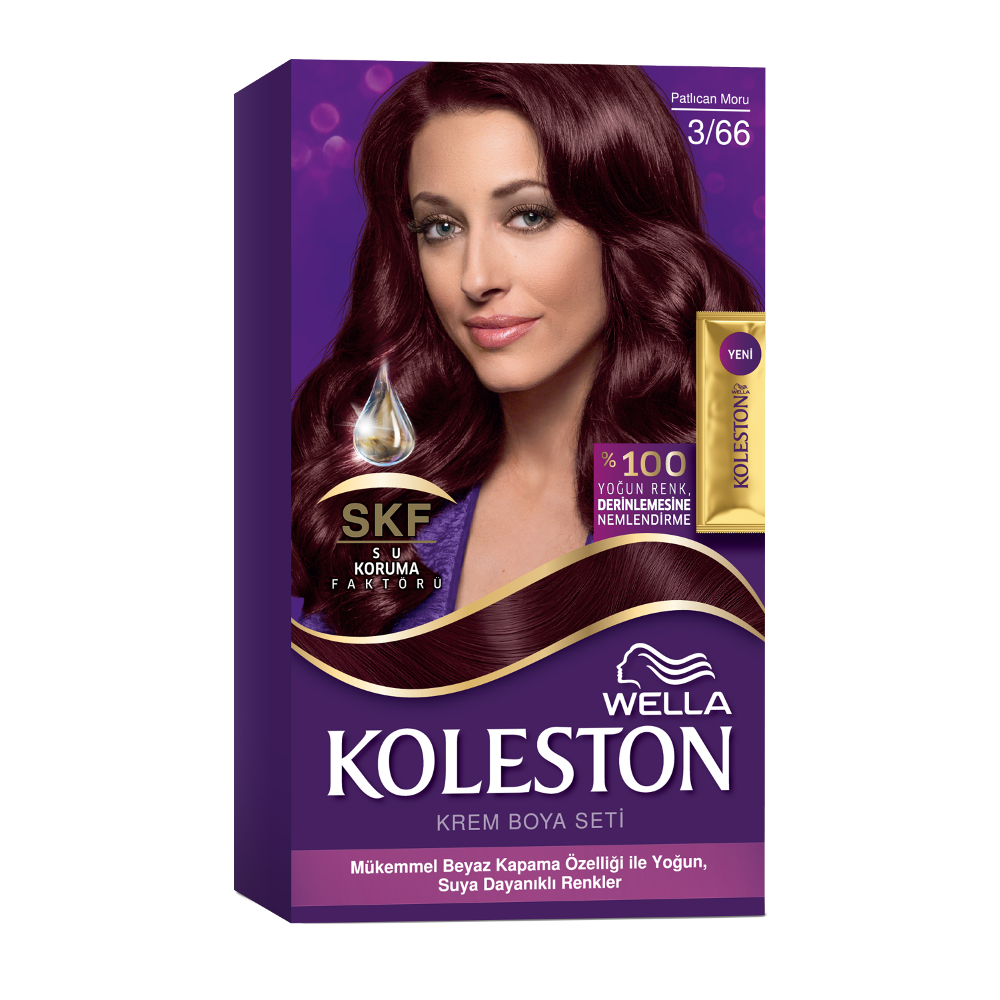 KOLESTON SAÇ BOYASI SET NO:3/66