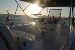 Mercan Bofor 19 Tekne ve Dıştan Takma Motor