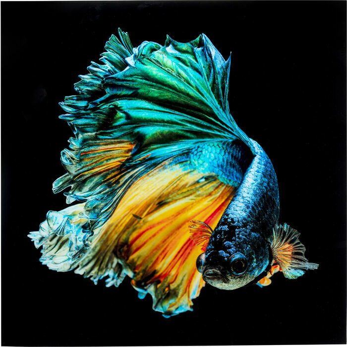 Aqua Queen Fish Cam Resim 100x100cm