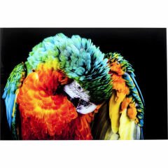 Tropical Parrot Cam Resim 120x80cm