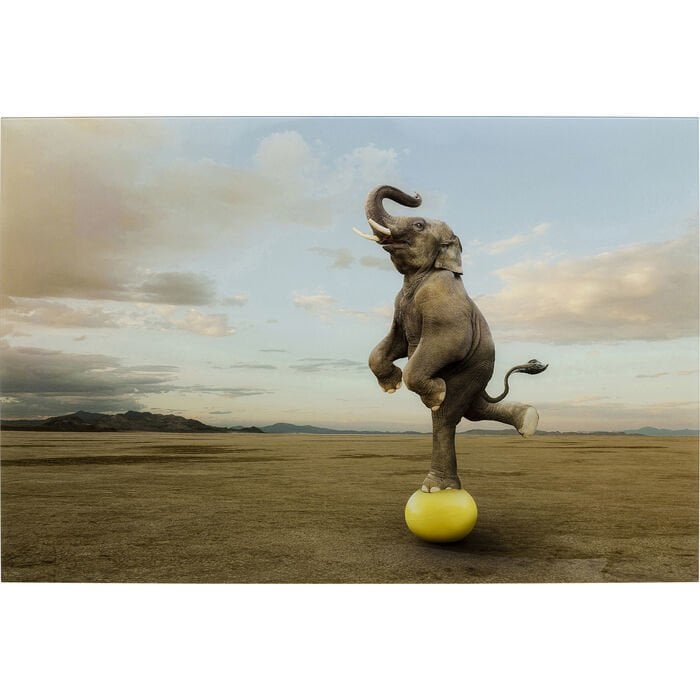 Balance Elephant Cam Resim 150x100cm