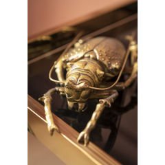 Longicorn Beetle Gold Duvar Süsü