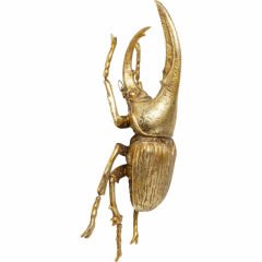 Herkules Beetle Gold Duvar Süsü