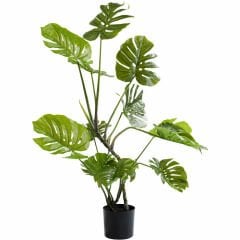 Plant Monstera Dekoratif Yapay Çiçek