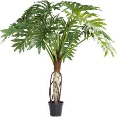 Monstera Dekoratif Bitki 175cm