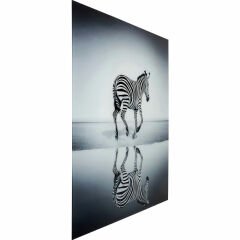 Savannah Zebra Cam Resim 120x120cm