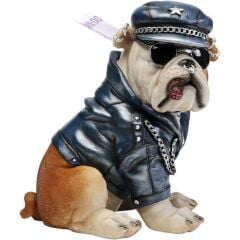 Money Box Punk Dog 22cm