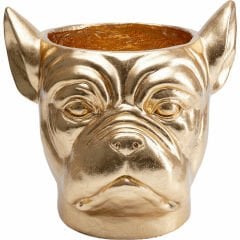 Bulldog Gold Fiberglas Saksı