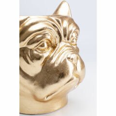 Bulldog Gold Fiberglas Saksı