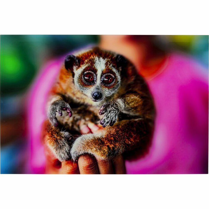 Slow Loris Tablo 80x120 cm