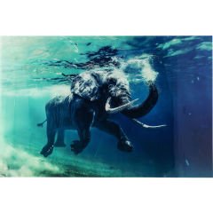 Swimming Elephant Cam Resim