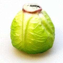 Nino 536CABBAGE Lahana Shaker