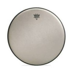 Remo 16'' Renaissance Ambassador Tom Derisi