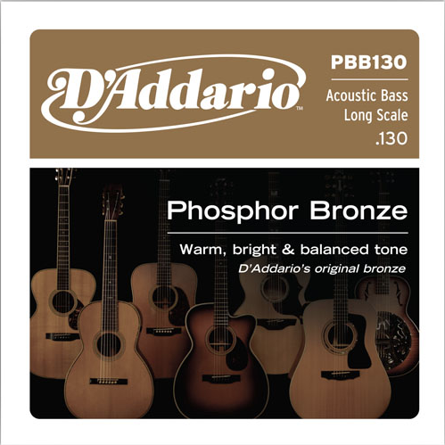 Daddario PBB130 Single Bas Phosphor Brz 130