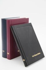 DILMAN CARI HESAP DEFTERI CILTLI DIK 20x28 320 YP