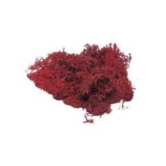 JORDANIA YOSUN 3011 KIRMIZI 10gr JE00-0503011