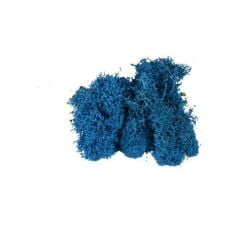 JORDANIA YOSUN 6002 MAVI 10gr JE00-0506002