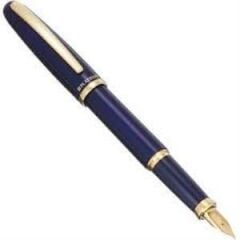 PLATINUM PGB 3000 LACIVERT DOLMAKALEM M UC