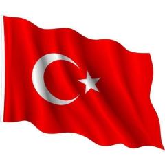 BAYRAK YUKSELEN POLYESTER 300x450cm (112)