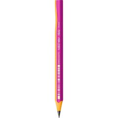 BIC KIDS ALISTIRMA KURSUN KALEMI 12 LI (919263)