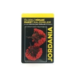 JORDANIA AGAG KIRMIZI 1/100 8cm JE03P-T302080G