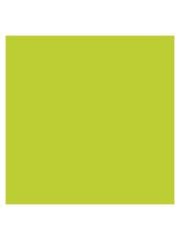 SPECTRA FOTOKOPI KAGIDI FOS.YESIL A4 500 LU 80gr