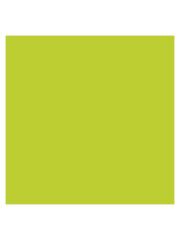 SINAR A4 RENK FOTO KAGIT SPEC FOS YESIL500 LU(321)