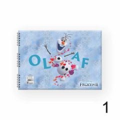 FROZEN DEFTER RESIM SPR 17x25 15YP.KESKIN (300115)