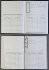 FOLIX TAKSITLI SENET DEFTER KARTON  20X28 200 YP.