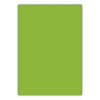 BIGPOINT CILT KAPAGI A4 160MIC YESIL (BP688-55)