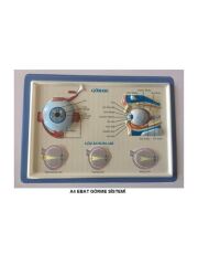 PUTI KABARTMALI GORME SISTEMI