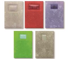 LIZ DEFTER 14x20 S.DERI CAVALLI 168YP.CIZ.CAV180C